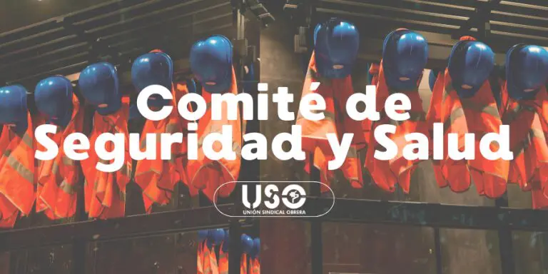 ¿Qué es el Comité de Seguridad y Salud?