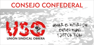 cartel consejo confederal 2014