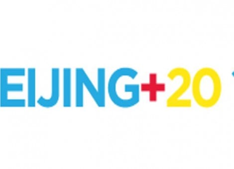 Avances de la Plataforma Beijing+20 Sociedad Civil Española