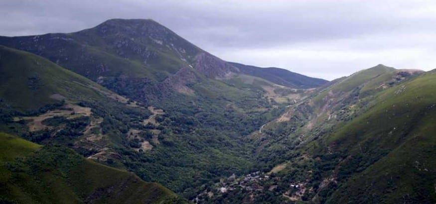 Rechazo absoluto a la nueva Ley de Montes