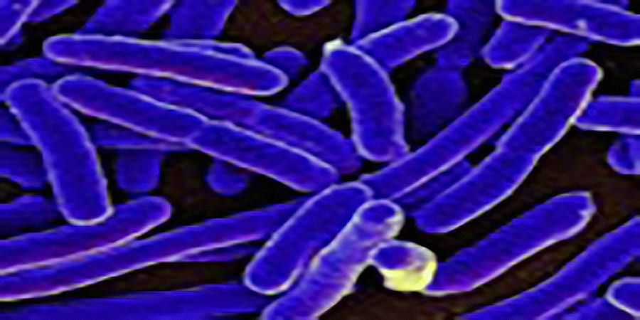 La Resistencia Antimicrobiana (RAM), una amenaza biológica para la salud