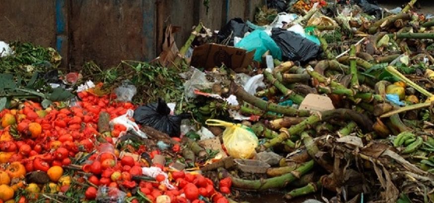 Comida que se va a la basura