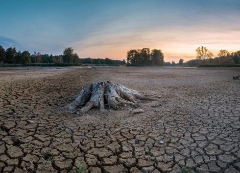 USO recuerda que urgen medidas contra el deterioro del planeta por el calentamiento global