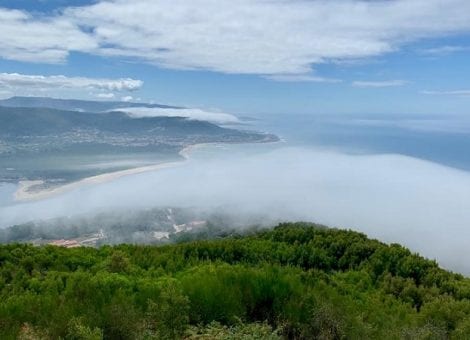 Declaración CES propuesta de lCE para Ley Europea del Clima y el Pacto Climático