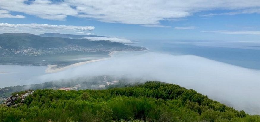 Los sindicatos europeos le piden a la Comisión más ambición en la lucha contra el cambio climático