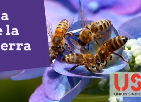 Día de la Tierra: el covid-19 nos recuerda que los cambios naturales están tras muchas infecciones