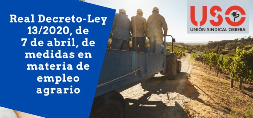 Analizamos el Real Decreto-Ley 13/2020 en materia de empleo agrario