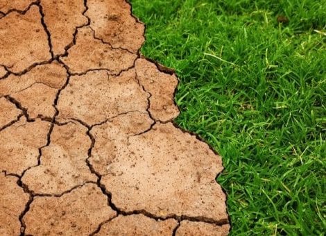 Ley de Cambio Climático. Justicia climática y trabajos decentes