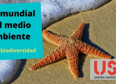 Día Mundial del Medio Ambiente: por la justicia social y medioambiental