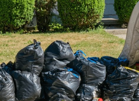 Novedades en la gestión de residuos en Fase 1 y Fase 2