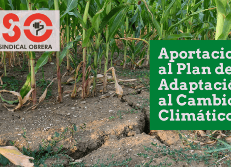 USO reclama más atención a las políticas de adaptación del cambio climático para salvar empleos