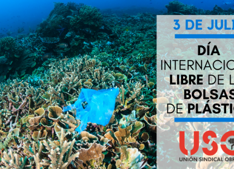 3 de julio: Día Internacional Libre de las Bolsas de Plástico