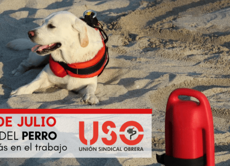 Prevención de riesgos laborales en el trabajo con perros