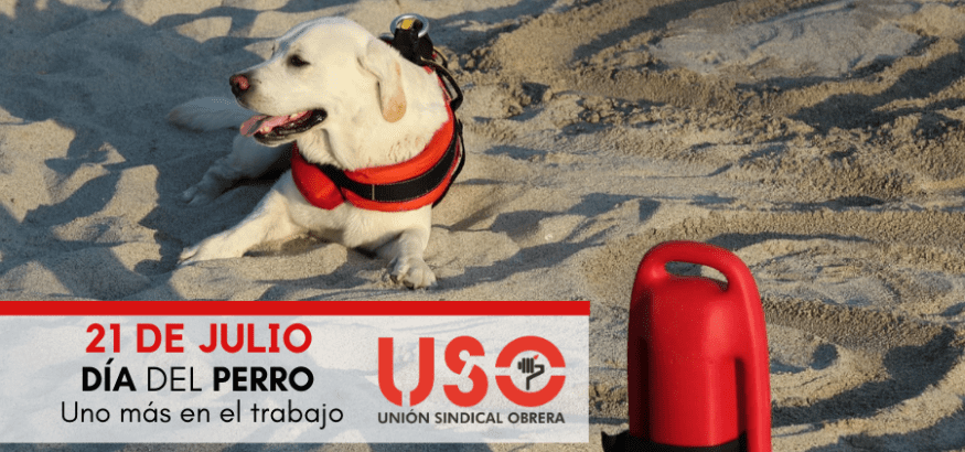 Prevención de riesgos laborales en el trabajo con perros