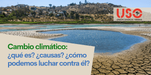 Cambio climático y calentamiento global: ¿qué son, cuáles son sus causas y cómo evitarlos?