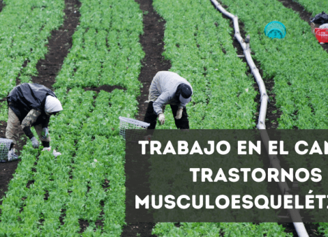 Riesgos laborales del trabajo en el campo: trastornos musculoesqueléticos