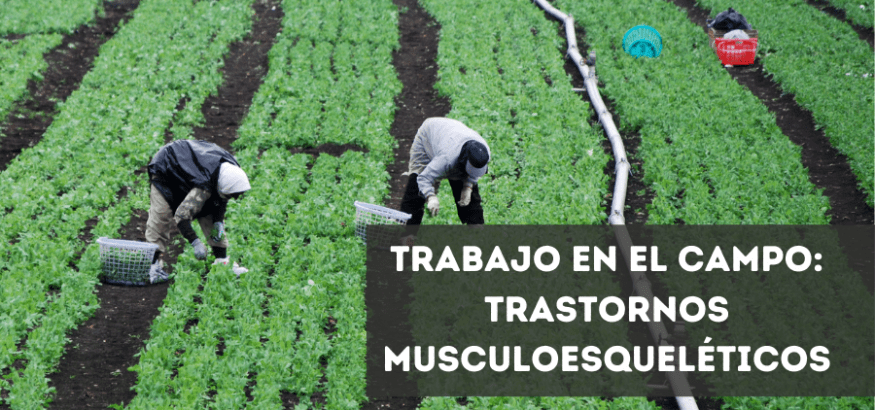 Riesgos laborales del trabajo en el campo: trastornos musculoesqueléticos