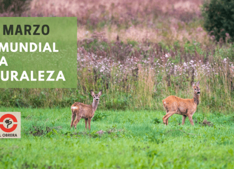 Día Mundial de la Naturaleza, la necesaria concienciación sobre el medio ambiente