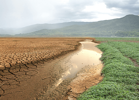 USO pide la adaptación del trabajo para frenar el cambio climático