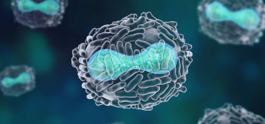 Viruela del mono: nueva alerta sanitaria