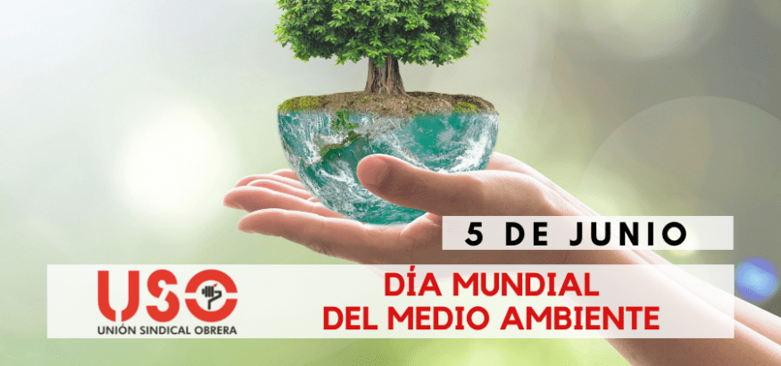 Día Mundial del Medio Ambiente. Últimas medidas en Europa para reducir emisiones