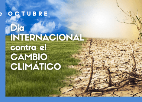 Día Internacional contra el Cambio Climático: propuestas sindicales para la COP27