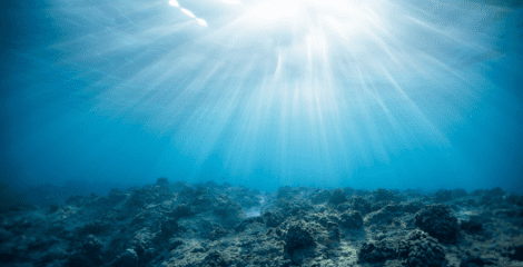 La ONU logra un acuerdo histórico para proteger el 30% de los océanos