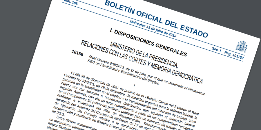 Desarrollo del Mecanismo RED de Flexibilidad y Estabilización del Empleo