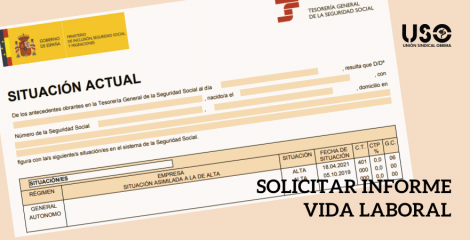 ¿Sabes cómo solicitar un informe de vida laboral? Te lo explicamos