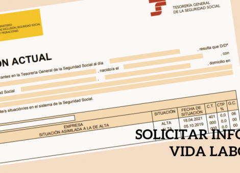 ¿Sabes cómo solicitar un informe de vida laboral? Te lo explicamos