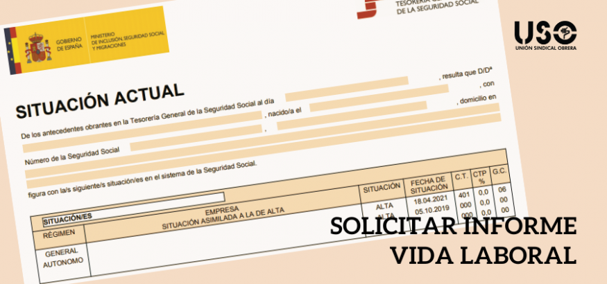 ¿Sabes cómo solicitar un informe de vida laboral? Te lo explicamos