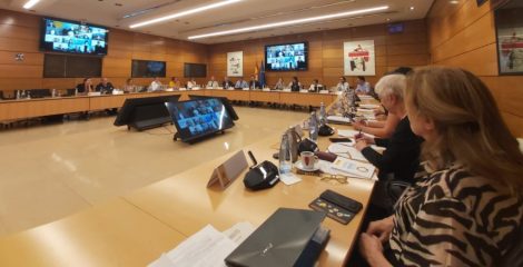 USO participa en el pleno del Consejo de Desarrollo Sostenible