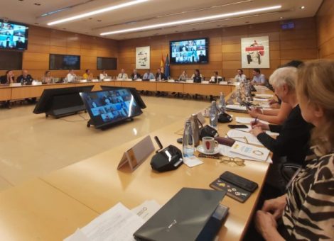 USO participa en el pleno del Consejo de Desarrollo Sostenible