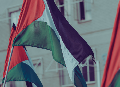 Por el reconocimiento del Estado de Palestina
