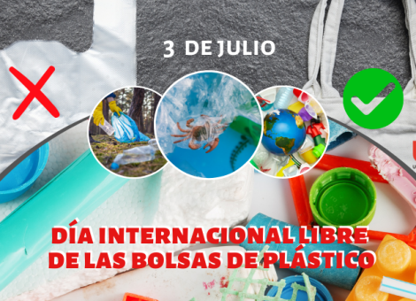 Día Internacional Libre de las Bolsas de Plástico: un hito aún lejano
