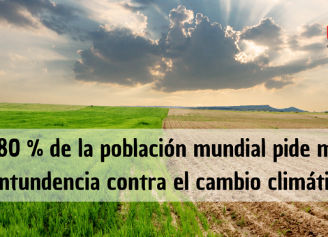 Encuesta de la ONU: el 80 % de la población mundial, contra el cambio climático