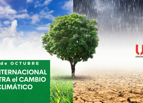 Día Internacional contra el Cambio Climático: reflexiones y acciones hacia la COP29