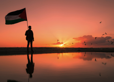 USO acoge con esperanza el anuncio de alto el fuego en Palestina