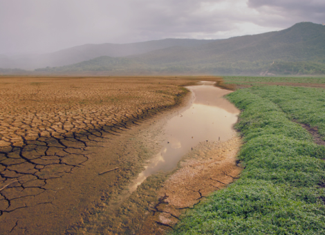 Urge la acción climática para proteger el planeta y las condiciones de vida