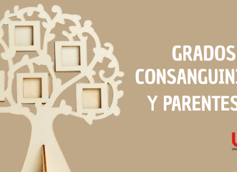 ¿Qué es el grado de consanguinidad? ¿Quién es familiar de primer/segundo grado?