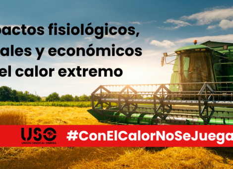 Calor extremo en el ambiente laboral: impactos fisiológicos, sociales y económicos