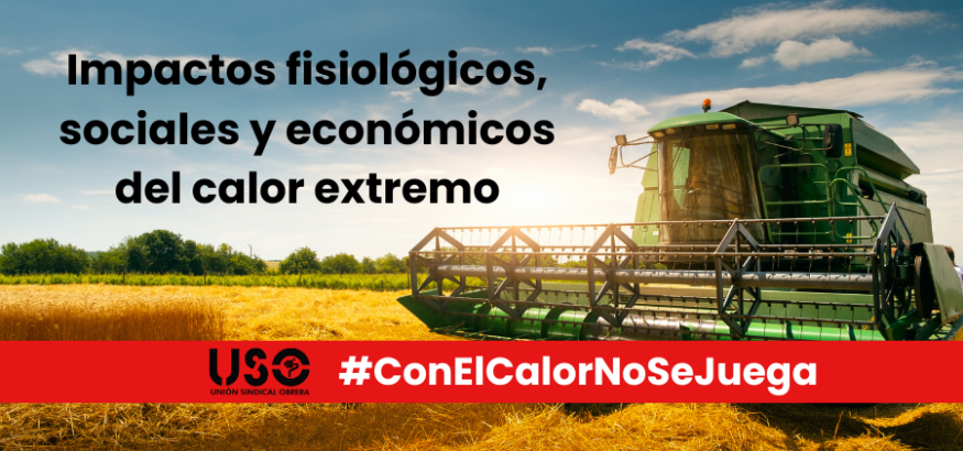 Calor extremo en el ambiente laboral: impactos fisiológicos, sociales y económicos Calor extremo en el ambiente laboral: impactos fisiológicos, sociales y económicos