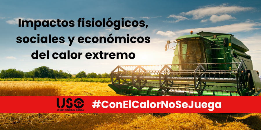 Calor extremo en el ambiente laboral: impactos fisiológicos, sociales y económicos