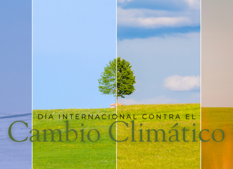 USO exige trabajo decente y transición justa ante el cambio climático