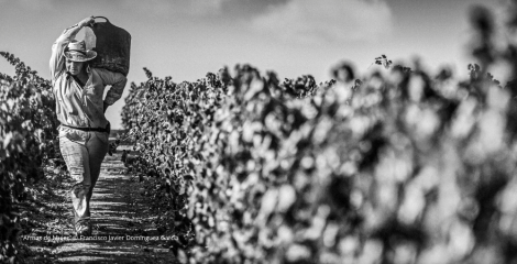 “Armas de mujer” gana el 14º Concurso de Fotografía de USO