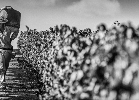 “Armas de mujer” gana el 14º Concurso de Fotografía de USO