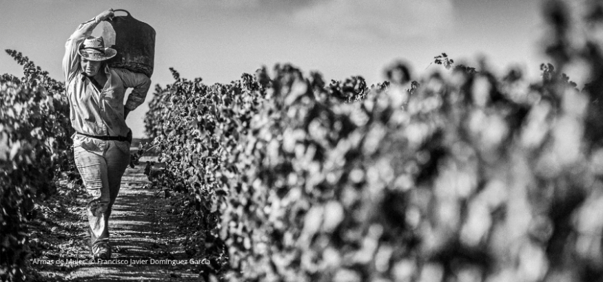 “Armas de mujer” gana el 14º Concurso de Fotografía de USO