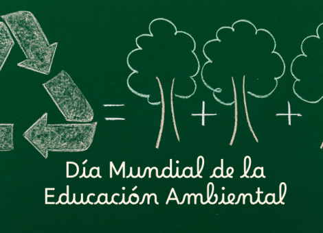 Día Mundial de la Educación Ambiental: la formación, el primer paso