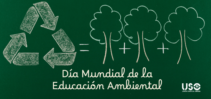 Día Mundial de la Educación Ambiental: la formación, el primer paso