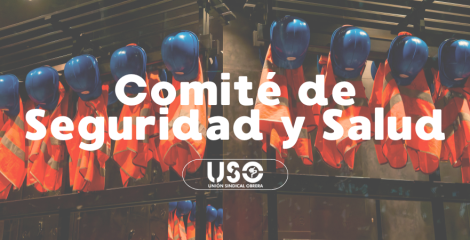 ¿Qué es el Comité de Seguridad y Salud? ¿Qué es el Comité de Seguridad y Salud?